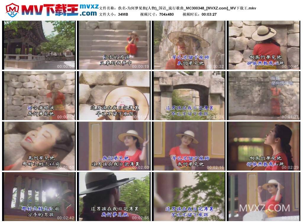 佚名-为何梦见他(人物)_国语_流行歌曲_MC300348